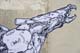 Grafs079