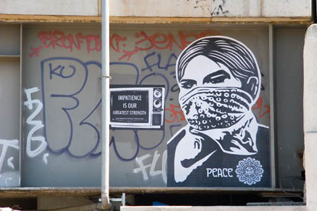 Obey_058