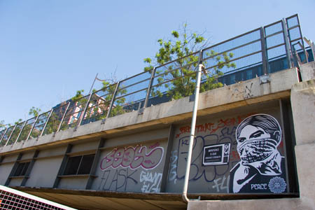 Obey_061